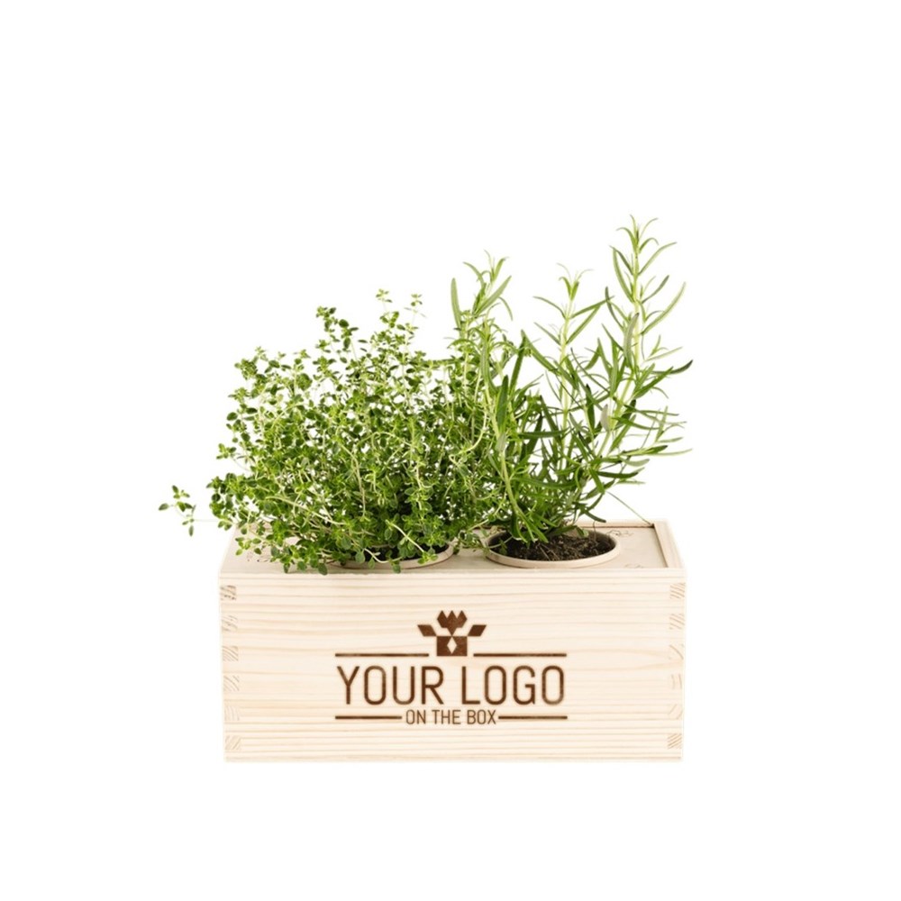 Herbs out of the Box - M