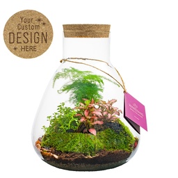 [A168-WD-EM-GB] Plant terrarium erlenmeyer - ecosystem in giftbox